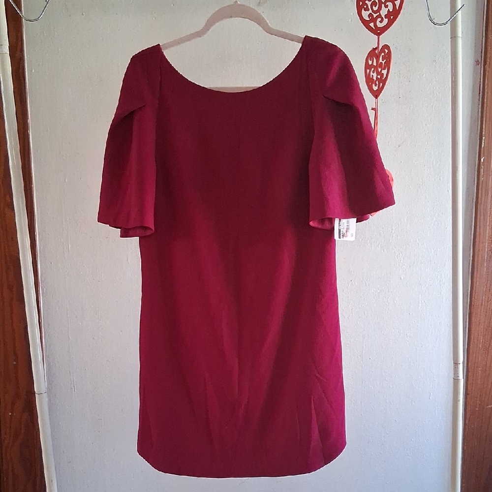 NWT Pretty In Pink Dress